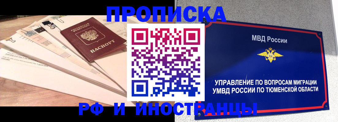 временная регистрация поиск в Светлогорске